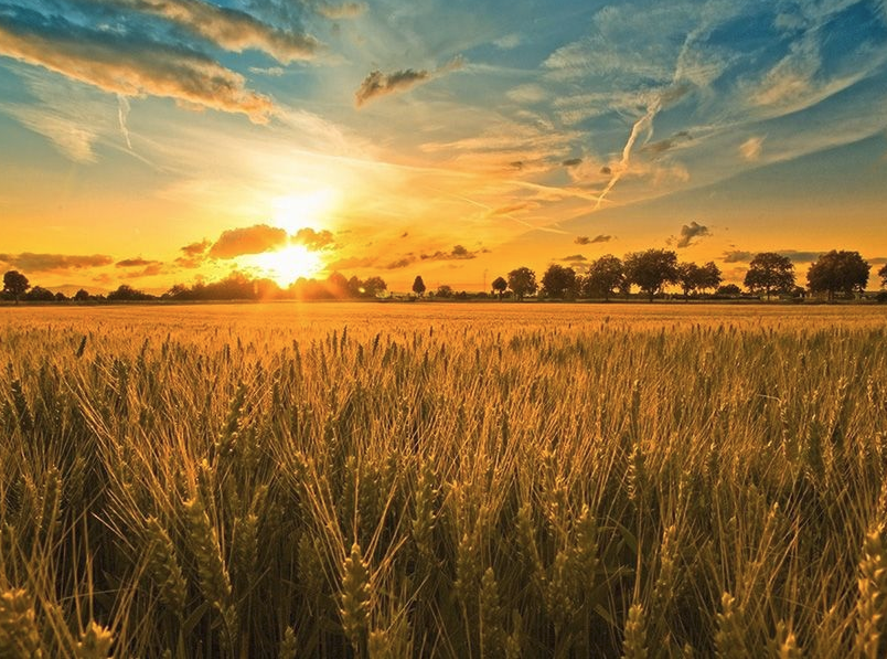 使用(yòng)濾光鏡讓照片達到特殊的效果